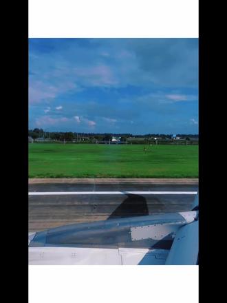 亲爱的scarlet,什么才是真正的自由#上海女子图鉴