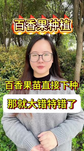 百香果苗直接栽下去那就大错特错了#百香果种植#百香果苗 #百香果 #百香果种植技术 #三农种植