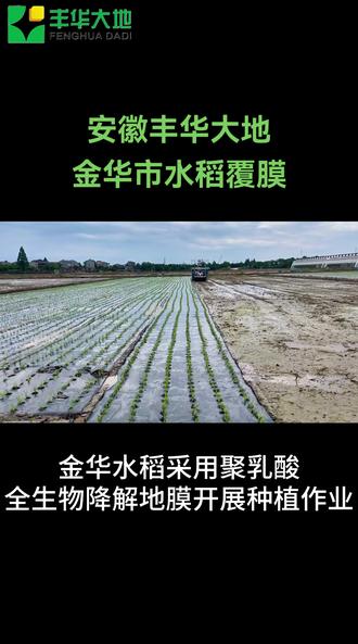 安徽丰华大地在浙江金华进行水稻覆膜作业