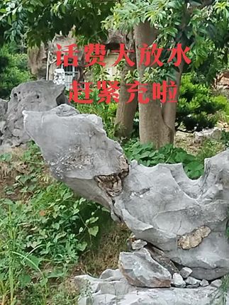 #原创视频 #园林景观 #纯天然奇石