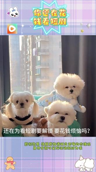 #红果短剧 #你的短剧搭子