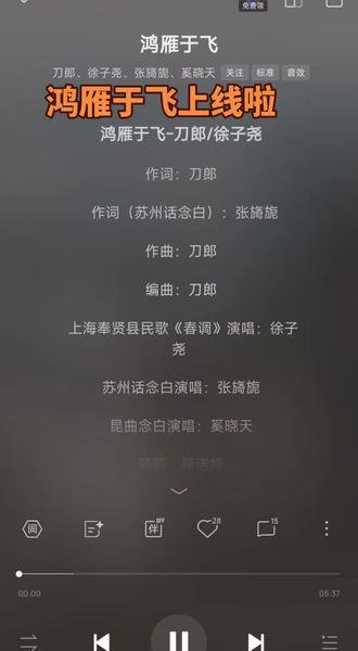 刀郎老师的《鸿雁于飞》终于上线了。一首伟大的作品,一首传世之作!可喜可贺!