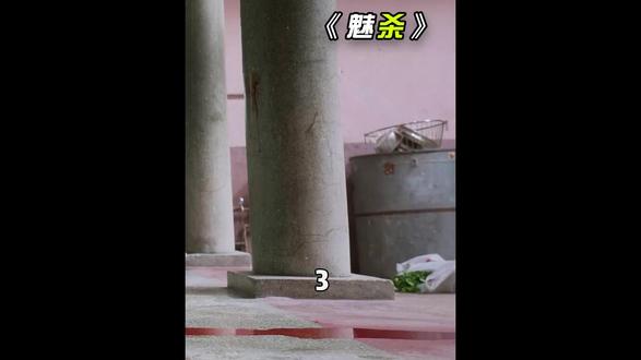 没想到最后丈夫竟然没死,和妻子一起逃跑了! #剧情 #反转 #魅杀 #印度电影 #我的观影报告