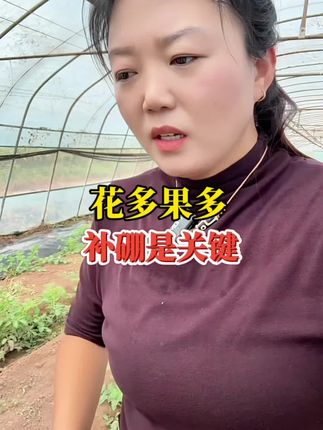 作物花多果多防落果,花前喷流体硼,三瓶99@抖音小助手 #流体硼 #花多果多