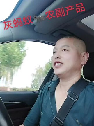 灰蚂蚁🐜农副产品