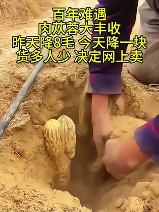 #优质农产品#肉苁蓉#养生