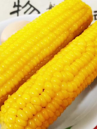 19快9到手10根,而且还都是大棒🌽#东北黄糯玉米 软糯香甜又大又糯又甜#糯玉米的营养价值 #超便宜超划算 #东北甜糯玉米 #粗粮