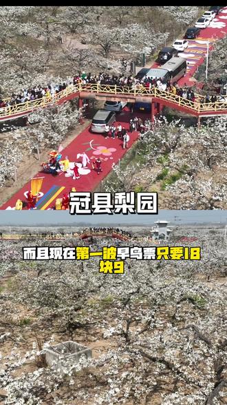 梨园最后一波18块9的门票来啦!想去游园看景的赶紧冲啊!#梨园#万亩梨花#游园看景 #梨花盛开#庙会
