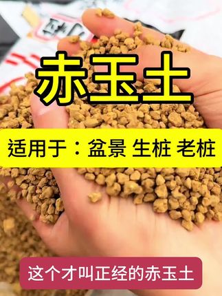 正经的#赤玉土 来了#园艺 #月逸轩 #种植 #养花