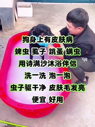狗狗身上有寄生虫,皮肤病,泡一泡#驱虫 #药浴 #蜱虫跳蚤 #养狗人 #萌宠好物