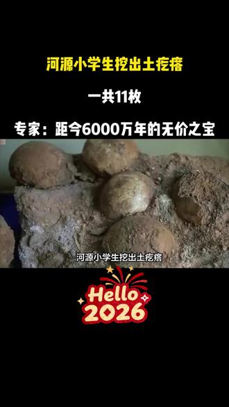河源小学生挖出土疙瘩,一共11枚,专家:距今6000万年的无价之宝