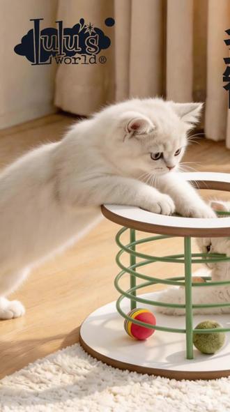 猫咪滚球池猫玩具自嗨解闷神器幼猫玩球消耗体力逗猫掏洞猫咪玩具 #猫咪滚球池玩具 #室内掏洞猫玩具 #幼猫自嗨解闷神器 #居家养猫趣味玩物 #消耗体力逗猫玩具