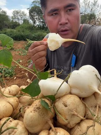 喜欢家乡地萝卜的姐妹们它来了#我的乡村生活 #
