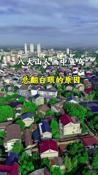 八大山人画中鱼鸟总翻白眼的原因 #八大山人 #朱耷 #翻白眼 #亡国恨 #慧旅记录