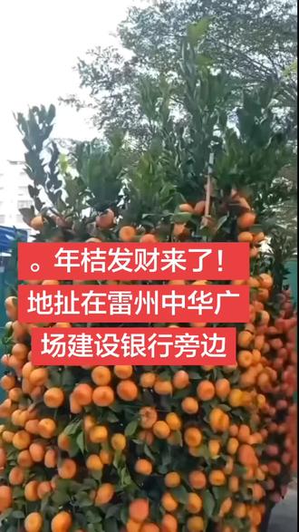 过年了,年桔来了,带大家吉祥如意!发财桔送到你家门口,地址雷州中华广场建设银行旁边