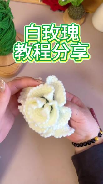 白玫瑰教程分享#钩针编织教程教学 #毛线编法教程 #钩针编织步骤分享 #钩针编织教程分享 #编织钩针教程