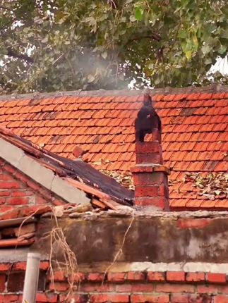 丰收时节#记录生活 #乡村守护人 #丰收的季节