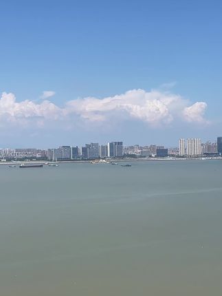 今天咋这么多船只🛥️🤣🤣🤣#大海蓝天 #面朝大海 #海滨城市