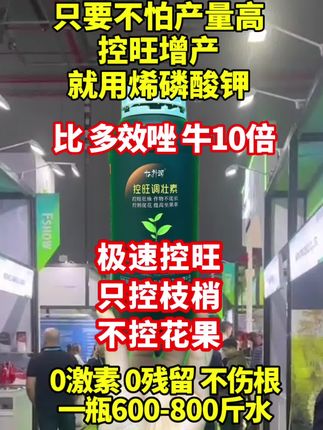 控旺增产就用控旺调壮素#控旺剂 #控旺#控旺增产增收#控旺调壮素