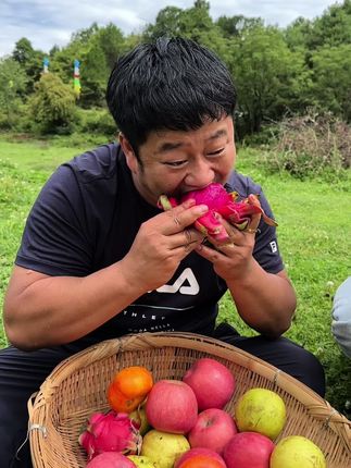 家里有小孩子的,一定不能错过这个红心火龙果,每一个都是树上的满满的花青素,一口下去爆汁喜欢的下单吧!#优质农产品 #新鲜采摘 #火龙果 #软糯香甜 #红心火龙果
