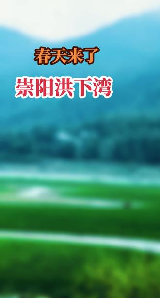 《寻春洪下湾》
“不知细叶谁裁出,二月春风似剪刀”,这是唐代诗人贺知章的巜咏柳》诗句,春天最美的诗。
春雨过后,我踩着湿润的泥土,走进洪下村的春天。
最先撞入眼帘的是柳色。河畔的柳树,早已卸下了冬日的灰褐,枝条上缀满了嫩黄的芽苞,像缀了一路的星子。有的芽苞已舒展成细碎的叶片,在风里轻轻摇曳,把整条河湾都染成了流动的绿。细看枝桠间,还藏着串串鹅黄的花序,细碎如金,在嫩绿里闪着光,那是春天最细腻的笔触。
视线越过柳梢,是铺展到远山脚下的草甸。没有“乱花渐入迷人眼。却有“浅草才能没马蹄”。绿得发亮,像一块被春雨洗过的绒毯。几头黄牛散落在草甸上,低着头,慢悠悠地啃着草,偶尔甩一下尾巴,惊起几只草虫。它们的身影在绿毯上移动,与远处黛色的山岚、近处银带似的河湾,构成了一幅流动的田园诗画。
小河是洪下村的玉带。它从山坳里钻出来,在草甸上绕出几道温柔的弯,水面泛着细碎的波光,倒映着柳影、山影,还有几户人家的白墙黛瓦。水不深,清得能看见水底的卵石,偶尔有小鱼摆尾,划出一圈圈涟漪,把整个春天都揉碎在水里。
我站在柳下,风里带着泥土和春天的气息,混着柳芽的清苦。远处的山在薄雾里若隐若现,近处的牛哞声、流水声、柳丝拂过水面的轻响,交织成洪下村独有的春曲。这绿,不是浓墨重彩的绿,是从柳芽里渗出来、从草叶上冒出来、从河水里漾出来的,带着呼吸的绿。
原来春天从不是轰轰烈烈地来,它就藏在洪下村的柳枝头,藏在牛儿啃过的草尖上,藏在小河湾湾的玉带里,一点一点,把整个村子都浸成了一幅活的水墨。#大美崇阳#治愈系风景 #洪下湾