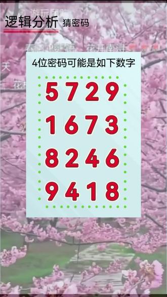 逻辑分析 猜密码