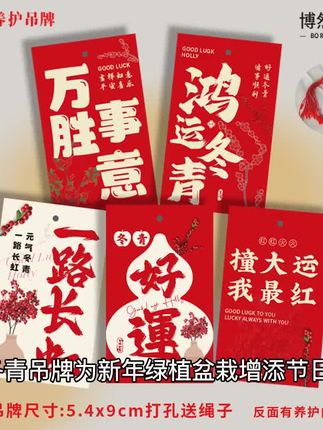 冬青吊牌为新年绿植盆栽增添节日氛围,精致年宵花装饰搭配养护提示卡片,贴心又实用。定制设计让绿植养护更轻松,挂饰造型别致,为家居空间带来自然生机与喜庆气息。