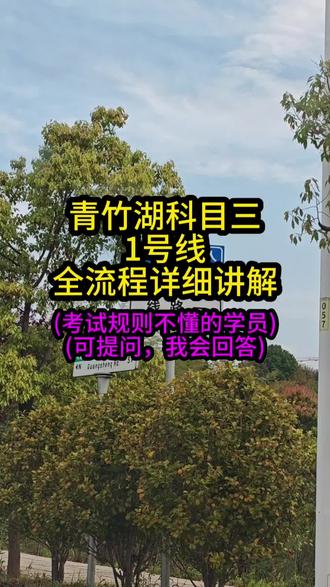 青竹湖科目三1号线详细讲解全流程 青竹湖科目三1号线详细讲解全流程#青竹湖科目三1号线 #青竹湖科目三#青竹湖考场#青竹湖科目三模拟#青竹湖驾考中心
