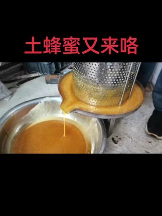 深山老巢百花土蜂蜜是这样的吗?您吃过正宗纯土蜂蜜吗?可惜卖不出去啊#抖音推广 #助手抖音 #中蜂养殖 #抖音推广