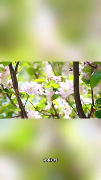 蔓越莓七大健康功效
#