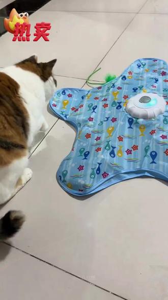 来玩!!猫咪捕猎罩 #猫咪🐈 #猫咪玩具