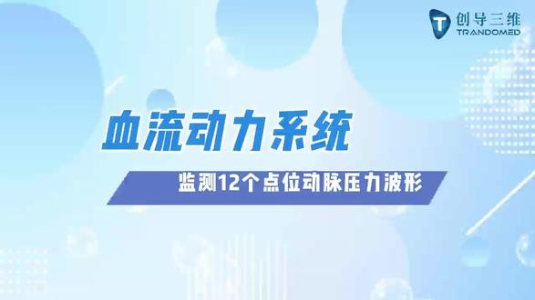一套系统,12个测压口,压力波形高度仿真 #血流动力学监测 #动脉压力波形