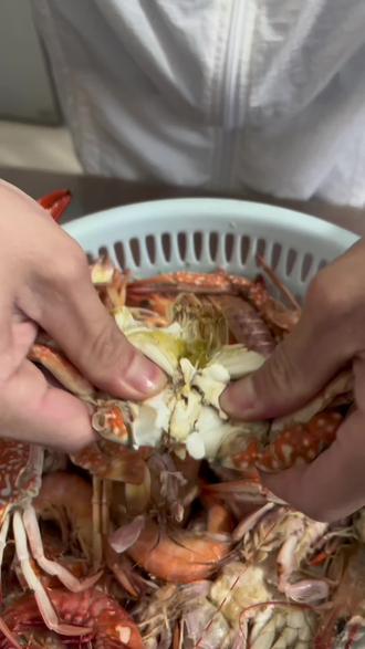 来来来,我们一起赶海咯。