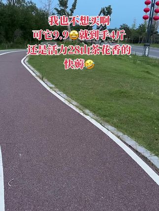 姐妹们快快快,赶紧来抢这个两公斤装的活力28山茶花香洗衣液,现在新品冲销量,你看才啥价?它里面添加了山茶花精油,洗出来的衣服不仅干净还透着高级,山茶花香特别好闻!成分安全,手洗机洗都可以,母婴放心用,刷到还有库存就赶紧多囤点回去慢慢用。#山茶花洗衣液 #活力28 #洗衣液 #山茶花