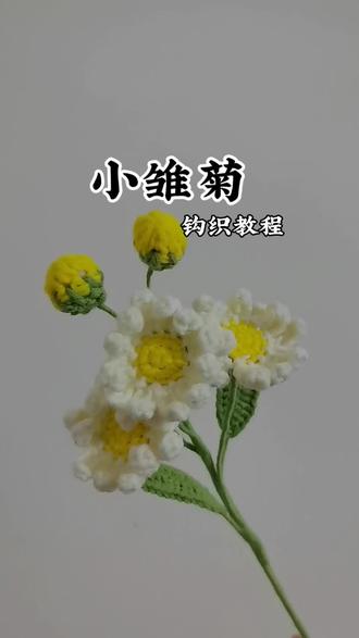 钩织教程|小雏菊 #热门 #手工 #钩织教程 #小雏菊 #抖音上热门