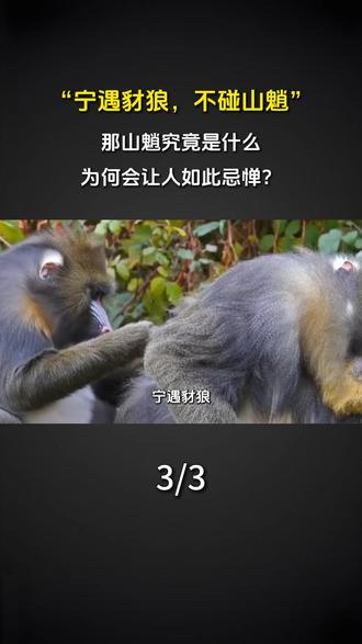 “宁遇豺狼,不碰山魈”,那山魈究竟是什么,为何会让人如此忌惮?#科普 #涨知识 #山魈