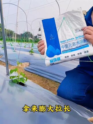 你的苗还没长出来吗?不如试一下中量元素水溶肥效果还是非常到位!#中量元素水溶肥 #种植小技巧 #三农流量扶持计划
