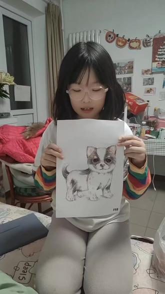 彩铅画《吉娃娃》