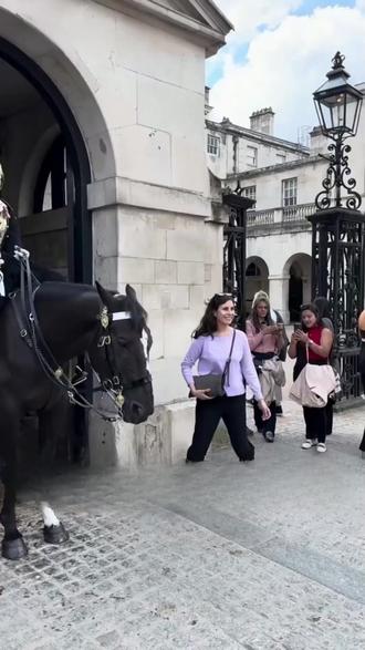 原来皇家卫兵的马是不能乱摸的