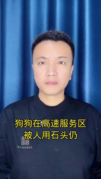 狗狗在高速服务区被人用石头扔