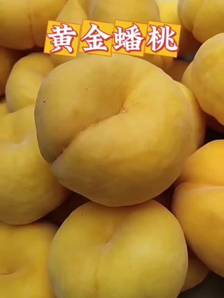 黄金毛蟠桃,硬吃脆甜,软吃香甜,太喜欢了#黄金毛蟠桃#毛蟠桃#蟠桃#新鲜蟠桃#新鲜采摘
