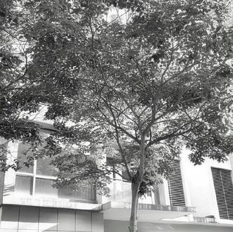 戈童99不解释#小鱼薄荷 #言情