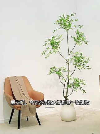 超级有氛围感的绿植--南天竹 #仿真绿植 #仿真南天竹 #氛围感绿植 #绿植盆栽 #家居好物