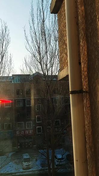 #随时随地记录身边事 喜鹊搭窝进行时