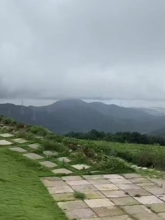 好运来
