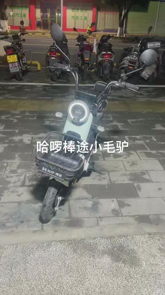 新到一辆哈啰棒途电单车