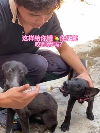 #养殖