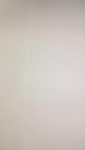 今天画可爱呆猫八条简笔画#绘画 #可爱 #猫咪 #简笔画