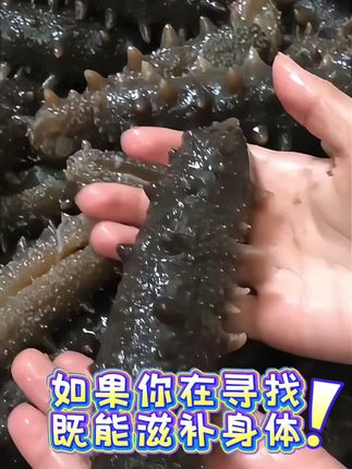 【冷冻辽参】棒棰岛4-6头/500克*两袋大连海参加热后即食有机辽参#健康食材 #滋补养生食材 #大连海参