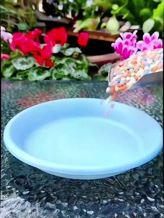 彩色陶粒颗粒花用垫底铺面石水培盆栽花盆多肉彩色陶粒球养花专用#彩色陶粒#花盆铺面#陶粒球#养花专用#彩色陶粒颗粒